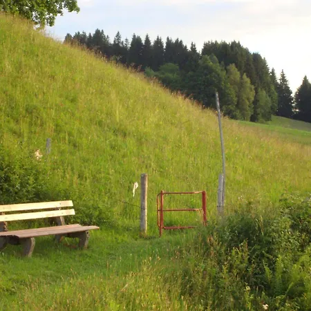 Weixler Schindelberg * Oberstaufen