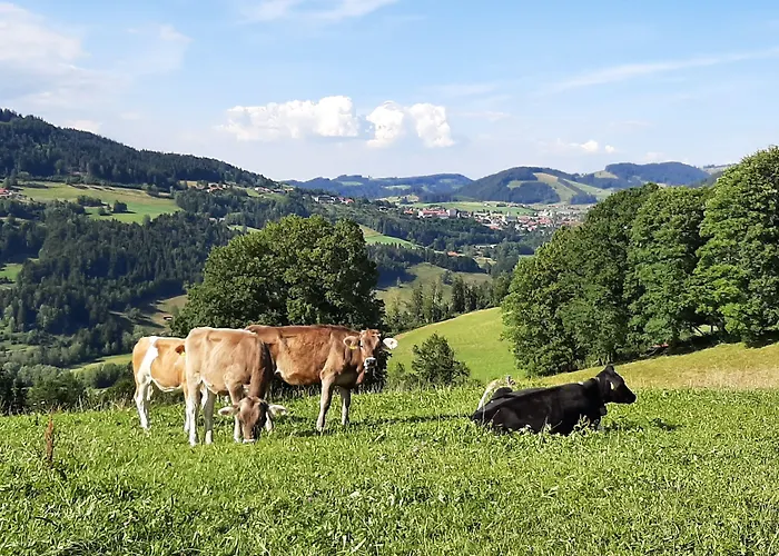 Hotel Weixler Schindelberg